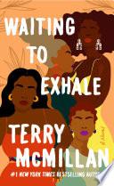Waiting to Exhale image
