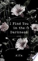 I Find You in the Darkness image