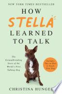 How Stella Learned to Talk image