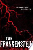Teen Frankenstein: High School Horror image
