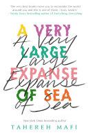 A Very Large Expanse of Sea image
