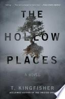 The Hollow Places image