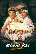 Cobra Kai Image