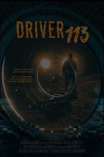 Driver 113 image