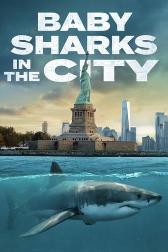 Baby Sharks In The City