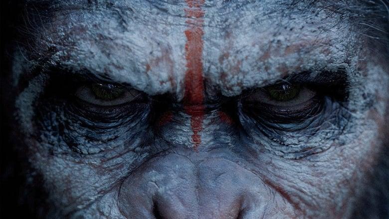 Dawn of the Planet of the Apes image