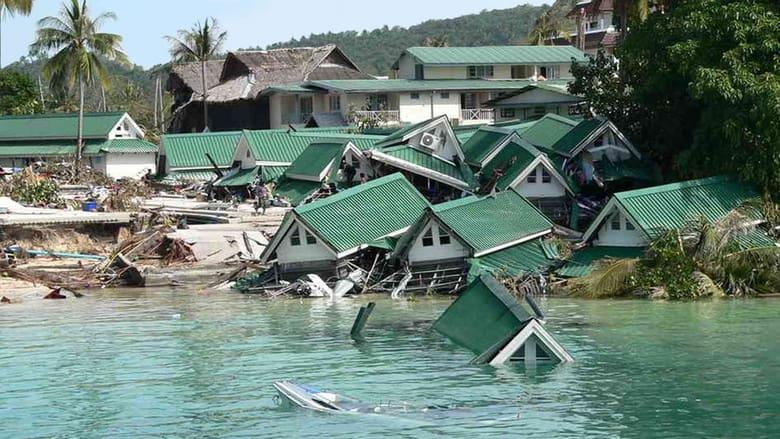 Tsunami: Race Against Time