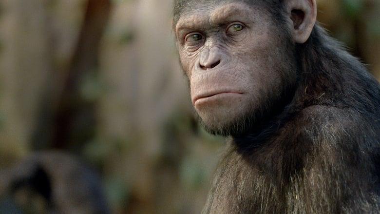 Rise of the Planet of the Apes image