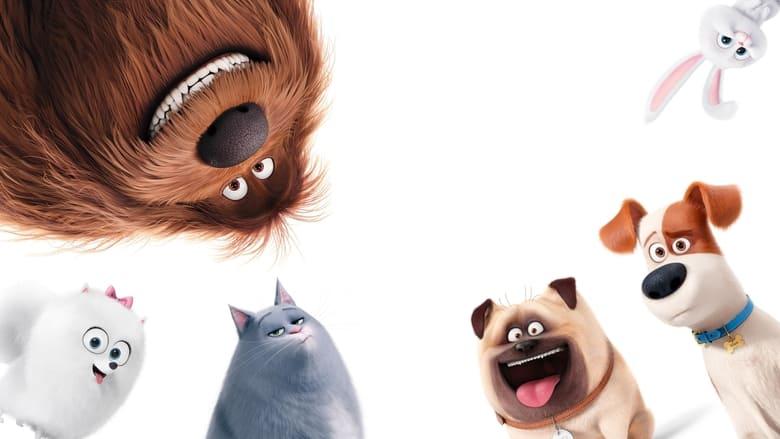 The Secret Life of Pets image