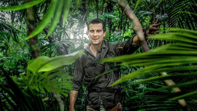 Running Wild with Bear Grylls image