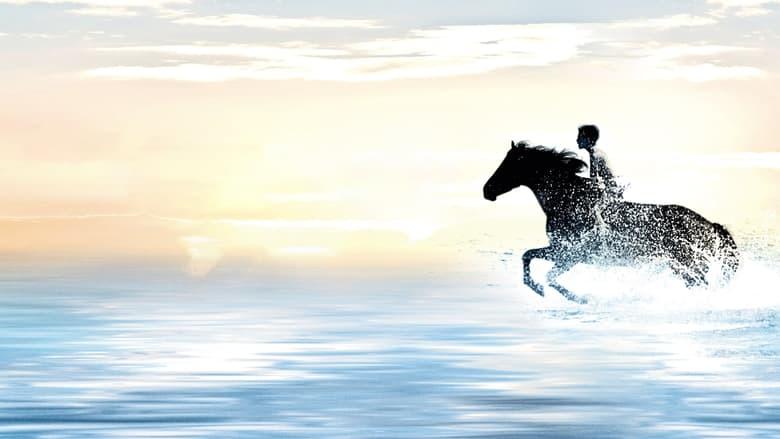 The Black Stallion image