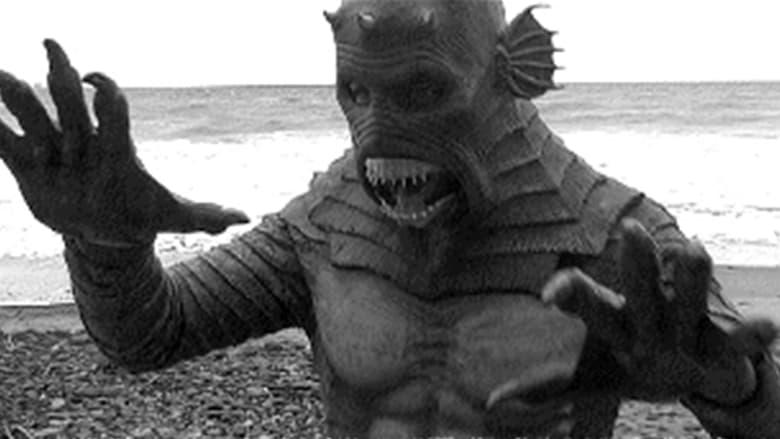 Frankenstein vs. the Creature from Blood Cove image