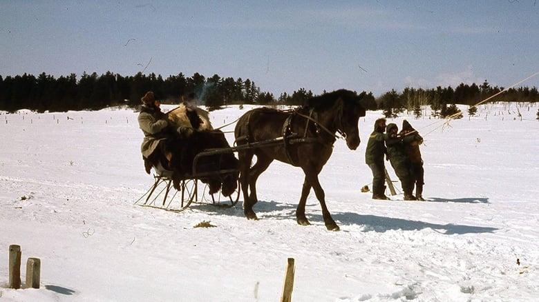 Kamouraska image