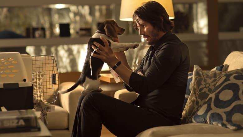 John Wick image