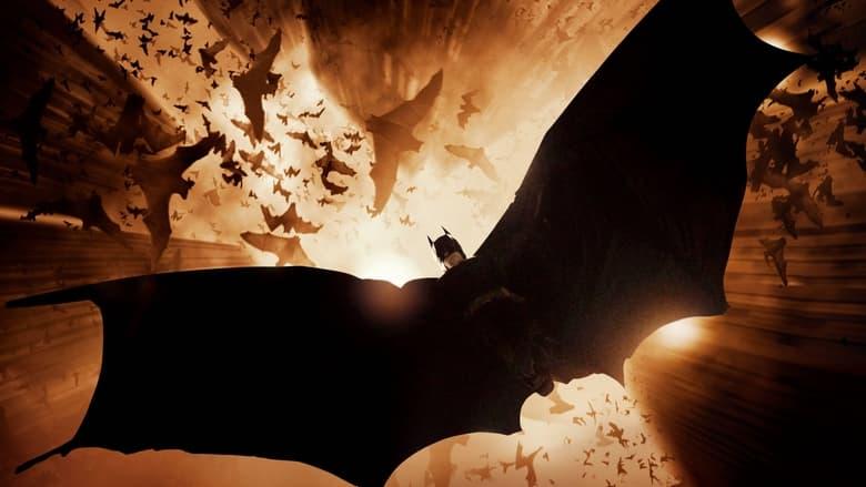 Batman Begins image