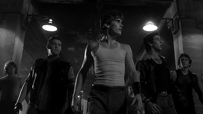 Rumble Fish image