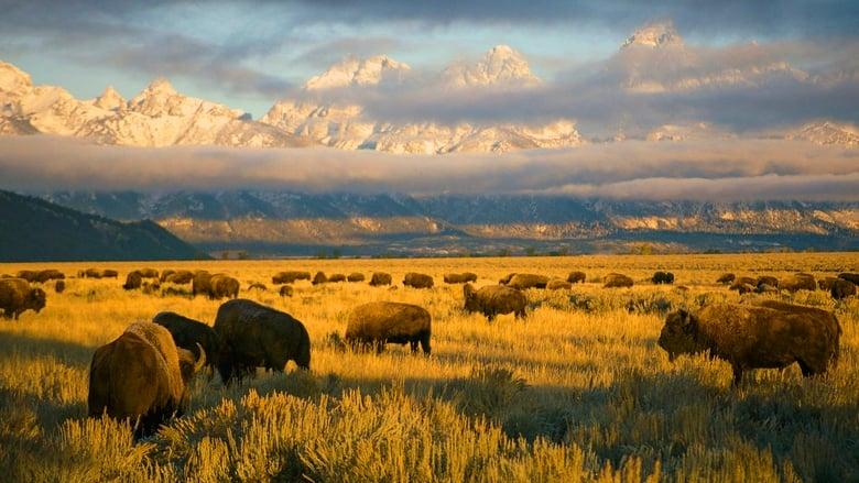 America's National Parks image