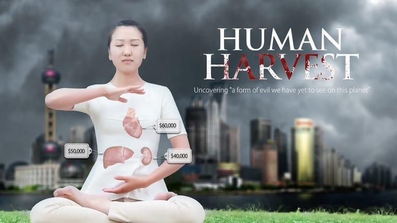Human Harvest image