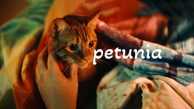 Petunia image