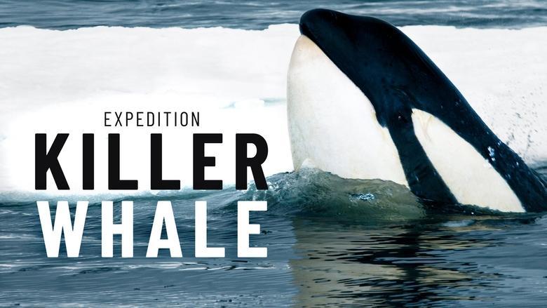 Expedition Killer Whale image