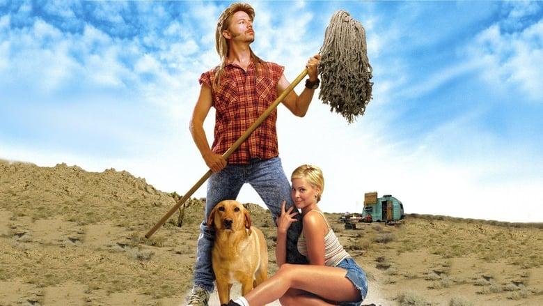 Joe Dirt image