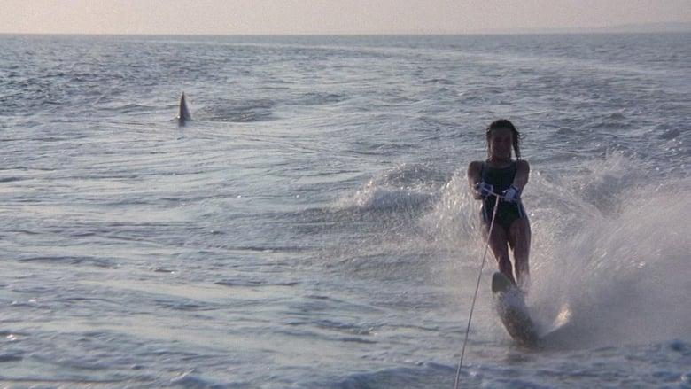 Jaws 2 image