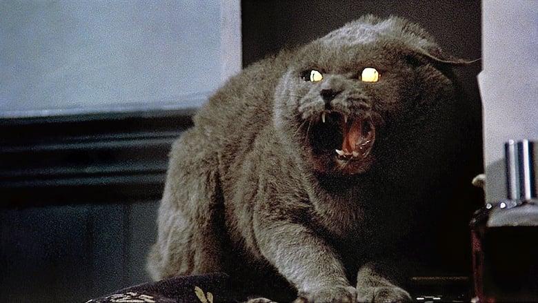 Pet Sematary image