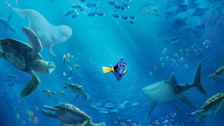 Finding Dory image