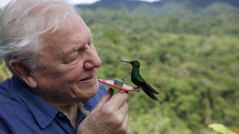 Attenborough's Life in Colour image