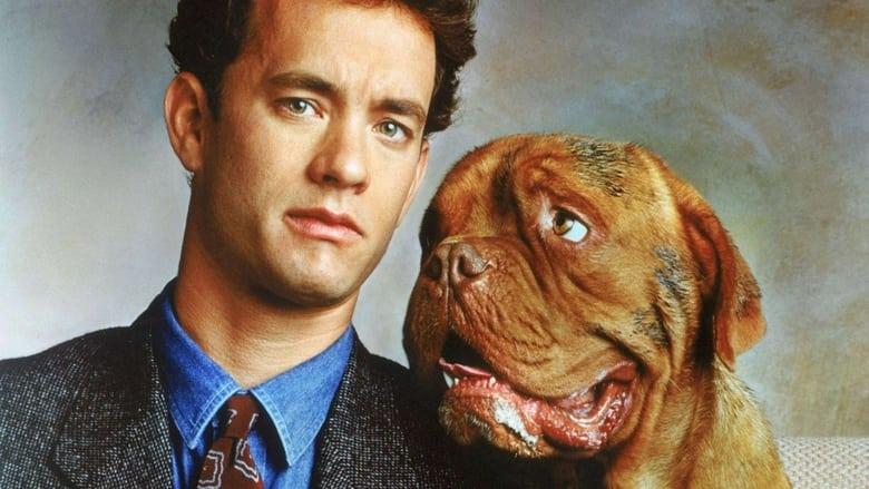 Turner & Hooch image