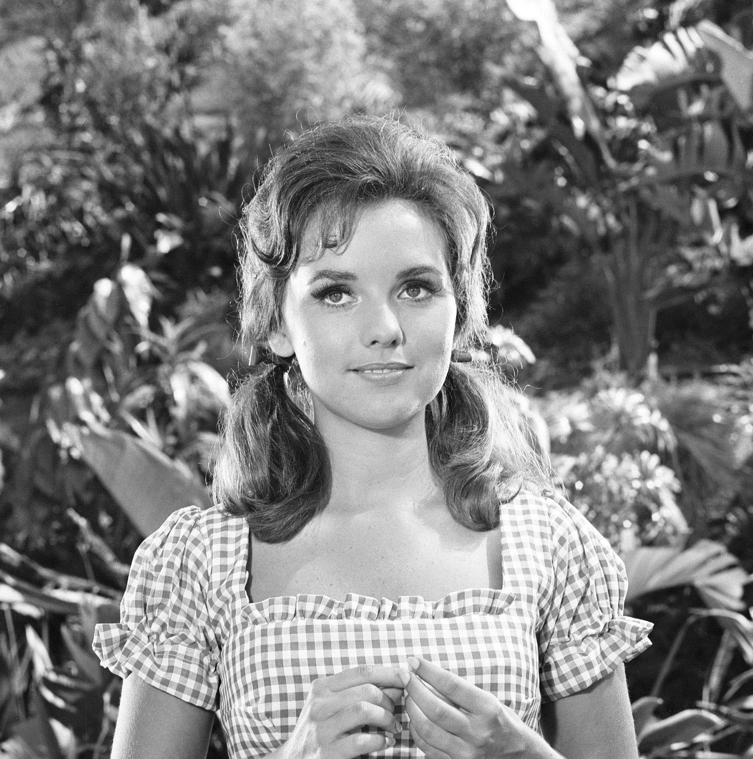 Dawn Wells image