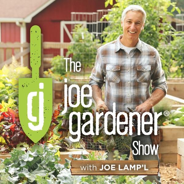 The joe gardener Show - Organic Gardening - Vegetable Gardening - Expert Garden Advice From Joe Lamp'l image