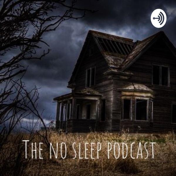 The No Sleep Podcast image
