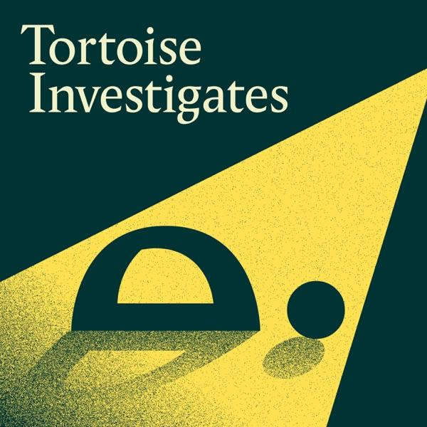 Tortoise Investigates image