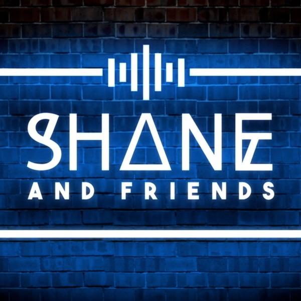 Shane And Friends image