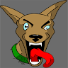 Dingo profile photo