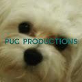 Pug profile photo