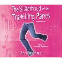 Sisterhood of the Travelling Pants image