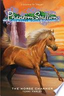 Phantom Stallion: Wild Horse Island #1: The Horse Charmer
