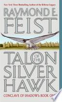 Talon of the Silver Hawk image