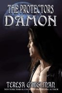 Damon (The Protectors Series) image
