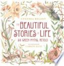 The Beautiful Stories of Life image