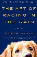 The Art of Racing in the Rain image