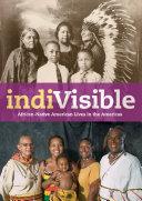IndiVisible image
