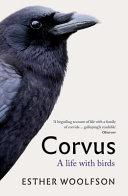 Corvus image