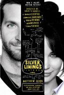 The Silver Linings Playbook image