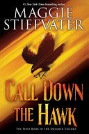 Call Down the Hawk (the Dreamer Trilogy, Book 1), 1
