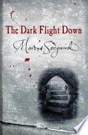 The Dark Flight Down image