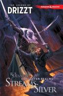 Dungeons and Dragons: the Legend of Drizzt Volume 5 - Streams of Silver image