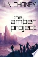 The Amber Project image